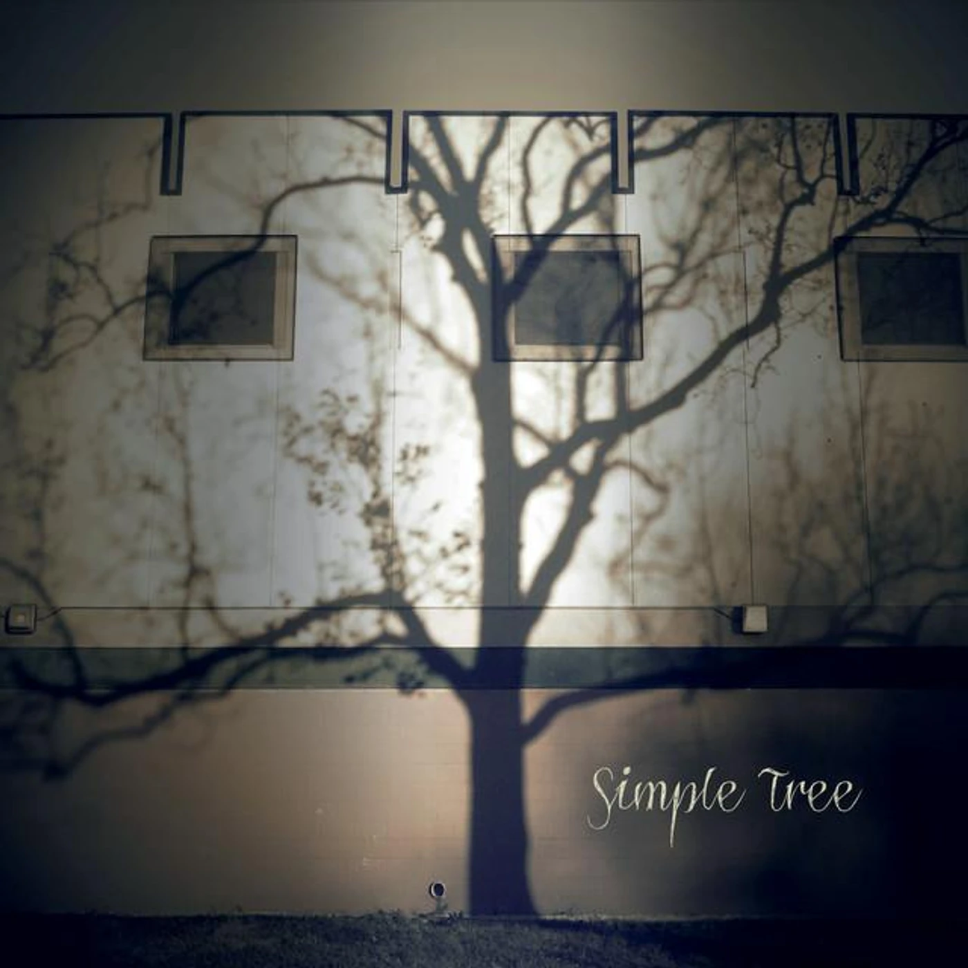 Simple Tree Brand Page