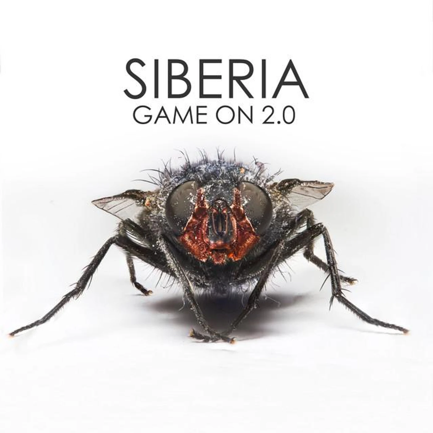 Siberia