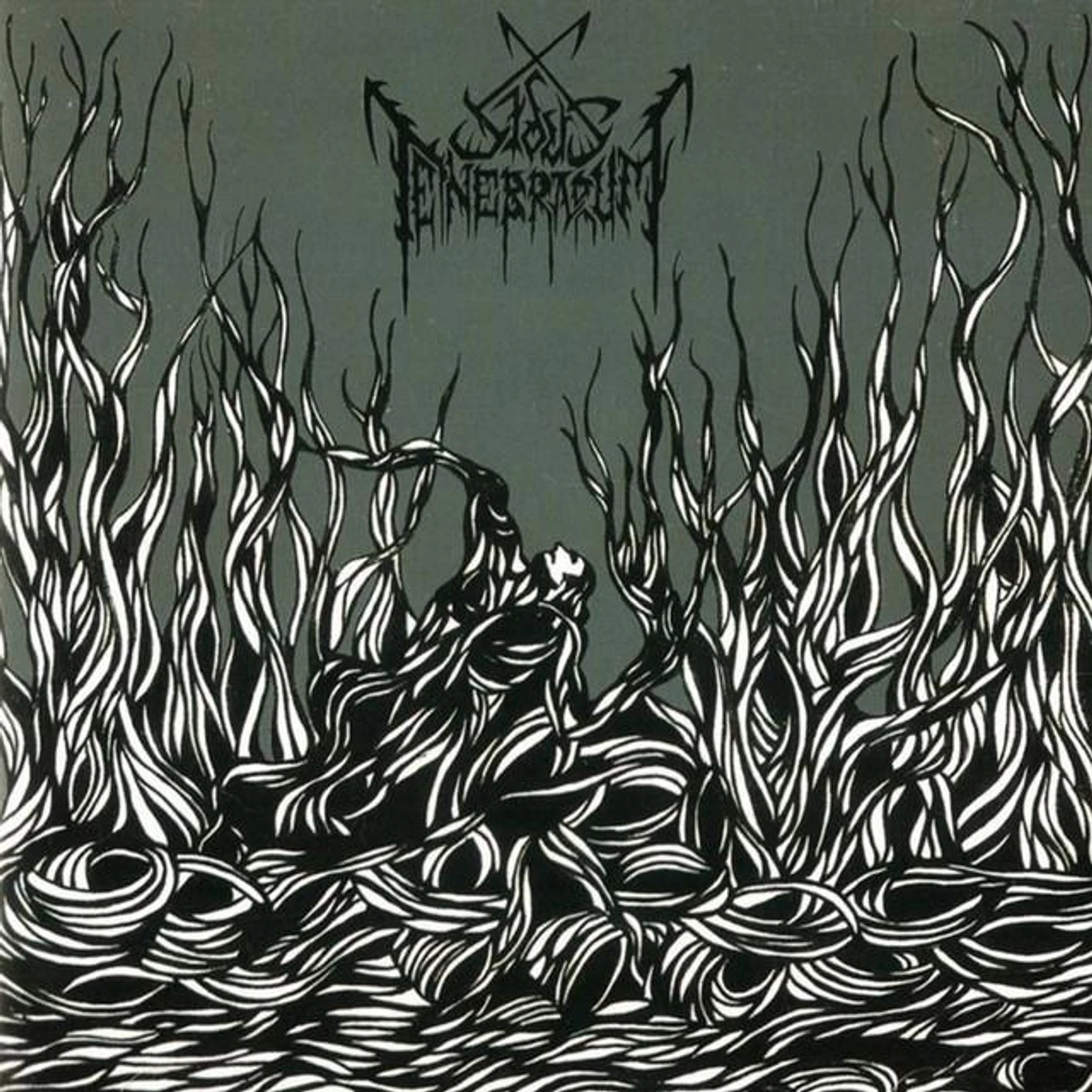 Sidus Tenebrarum