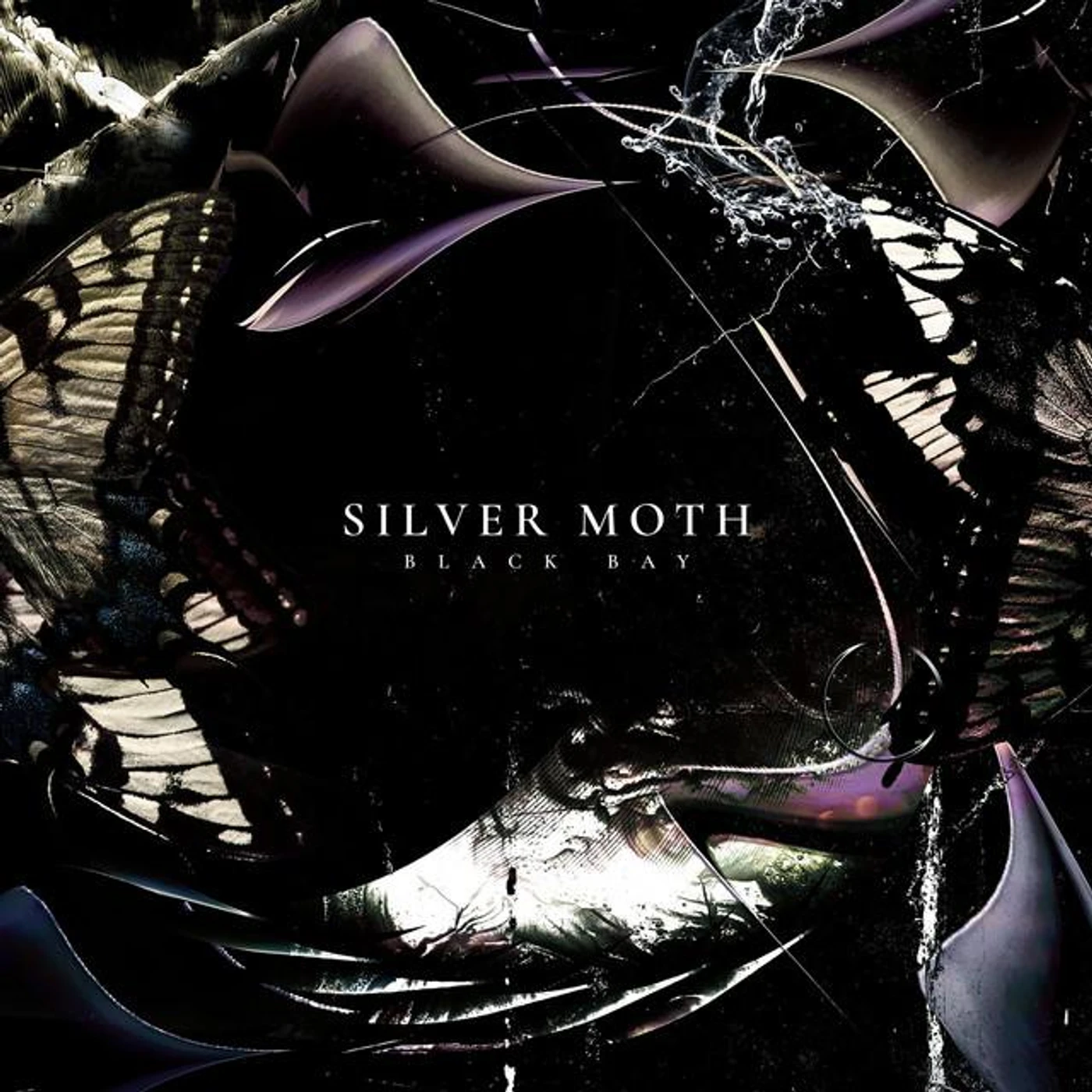 Silver Moth Brand Page