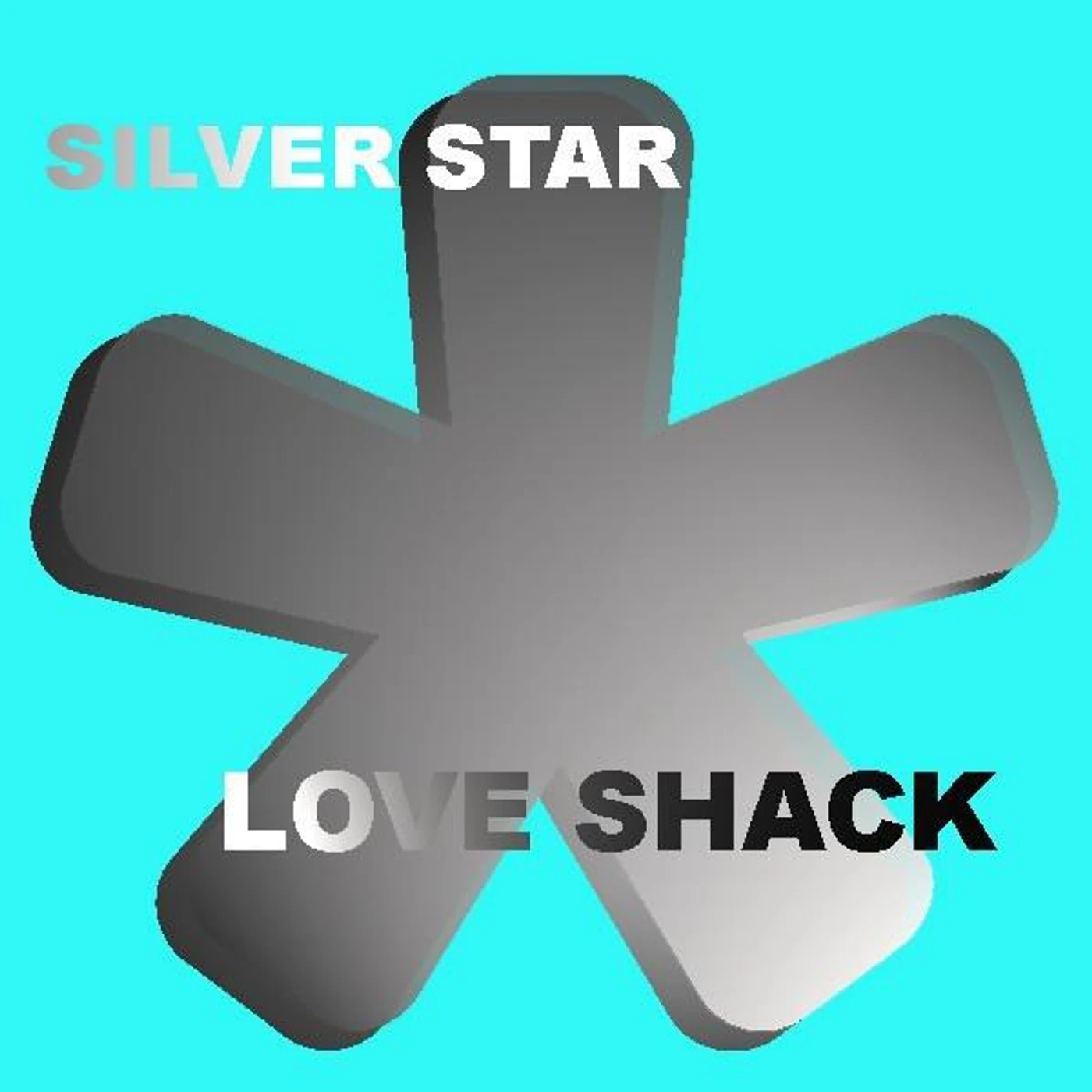Silver Star Brand Page