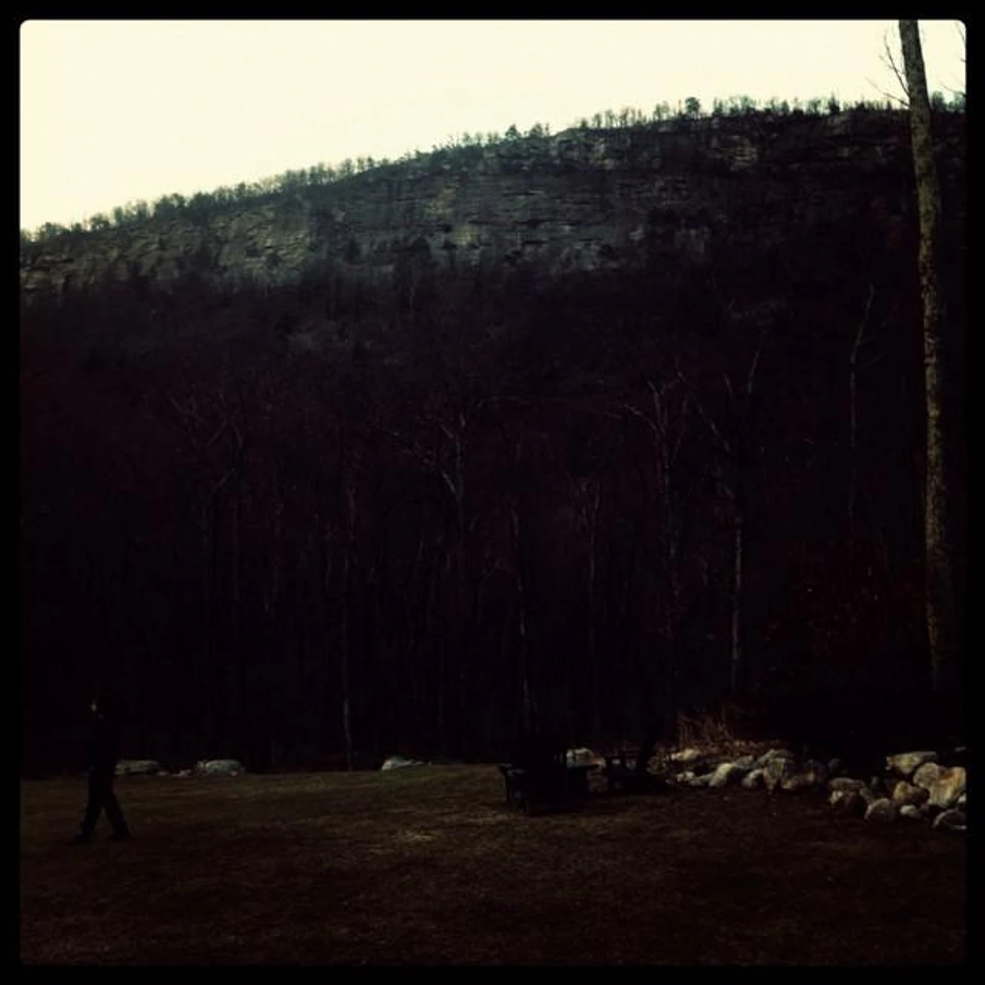 Silverbird Brand Page