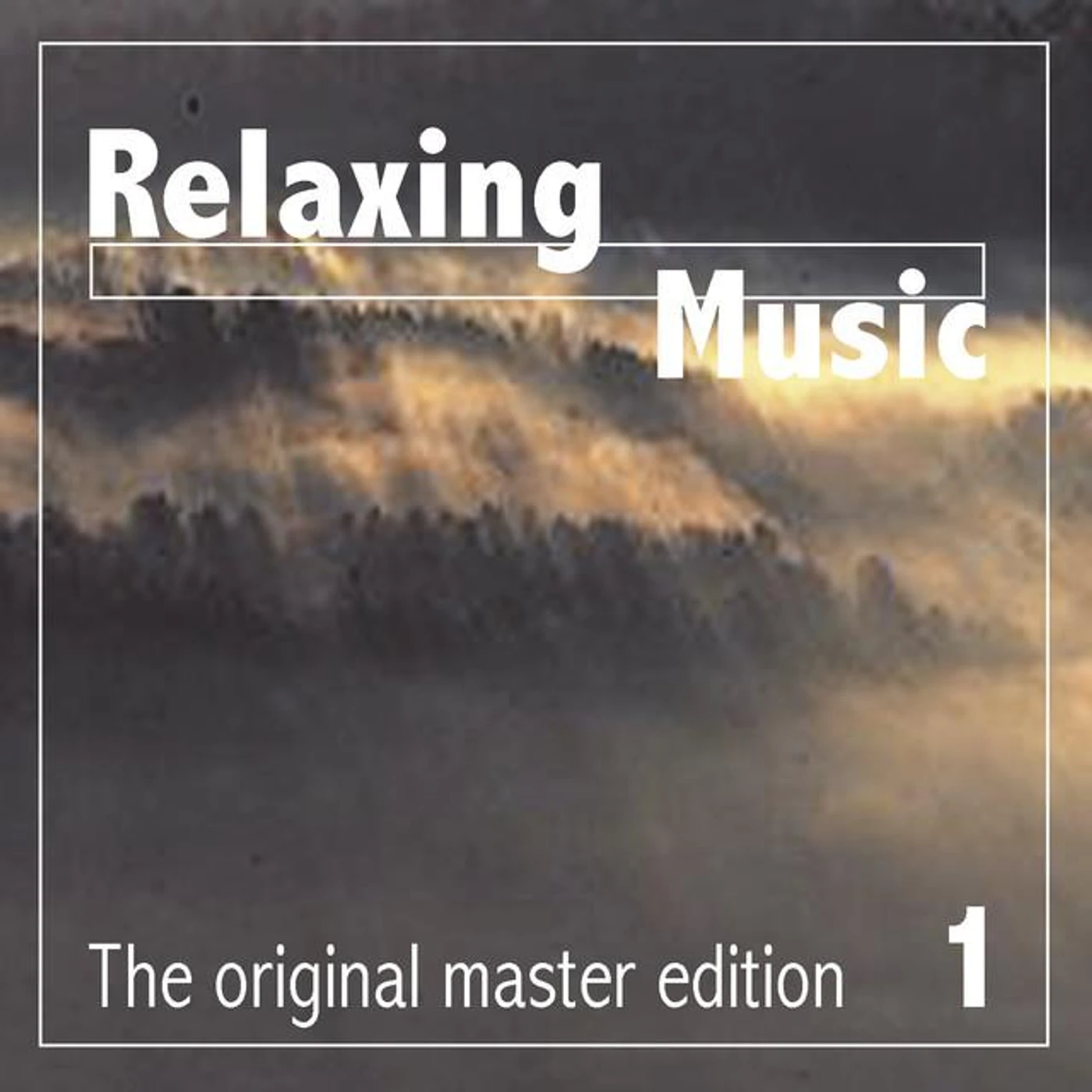 Silicon Brain Brand Page