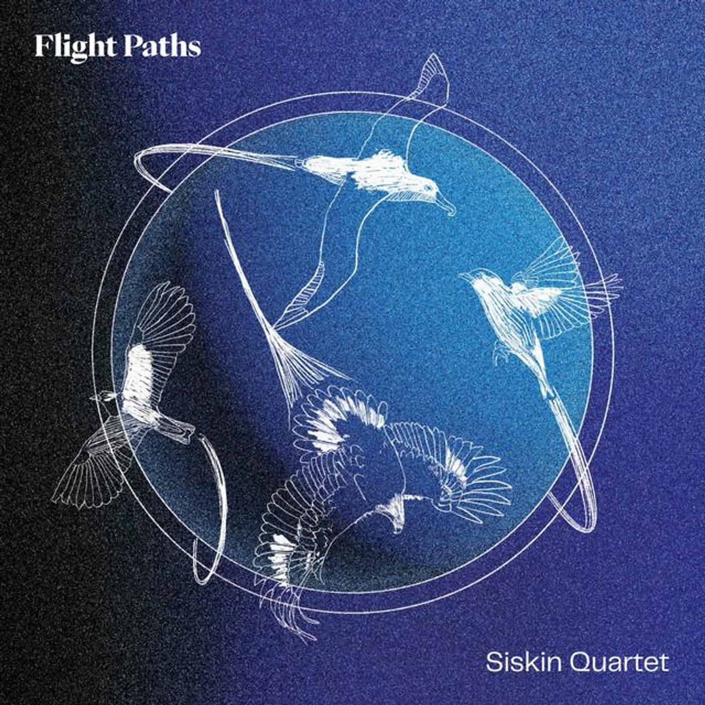 Siskin Quartet Brand Page