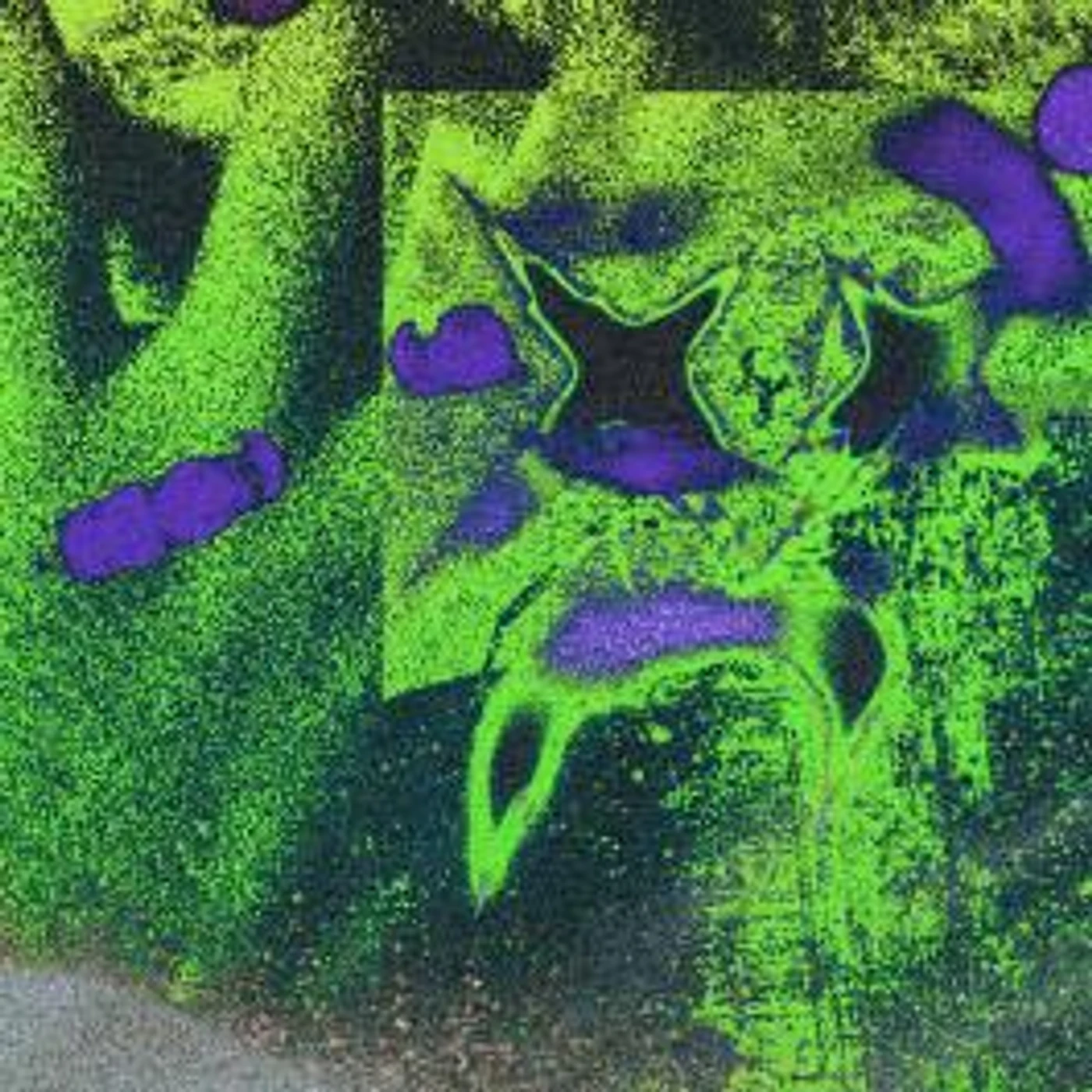 Somewhere to Call Home Brand Page