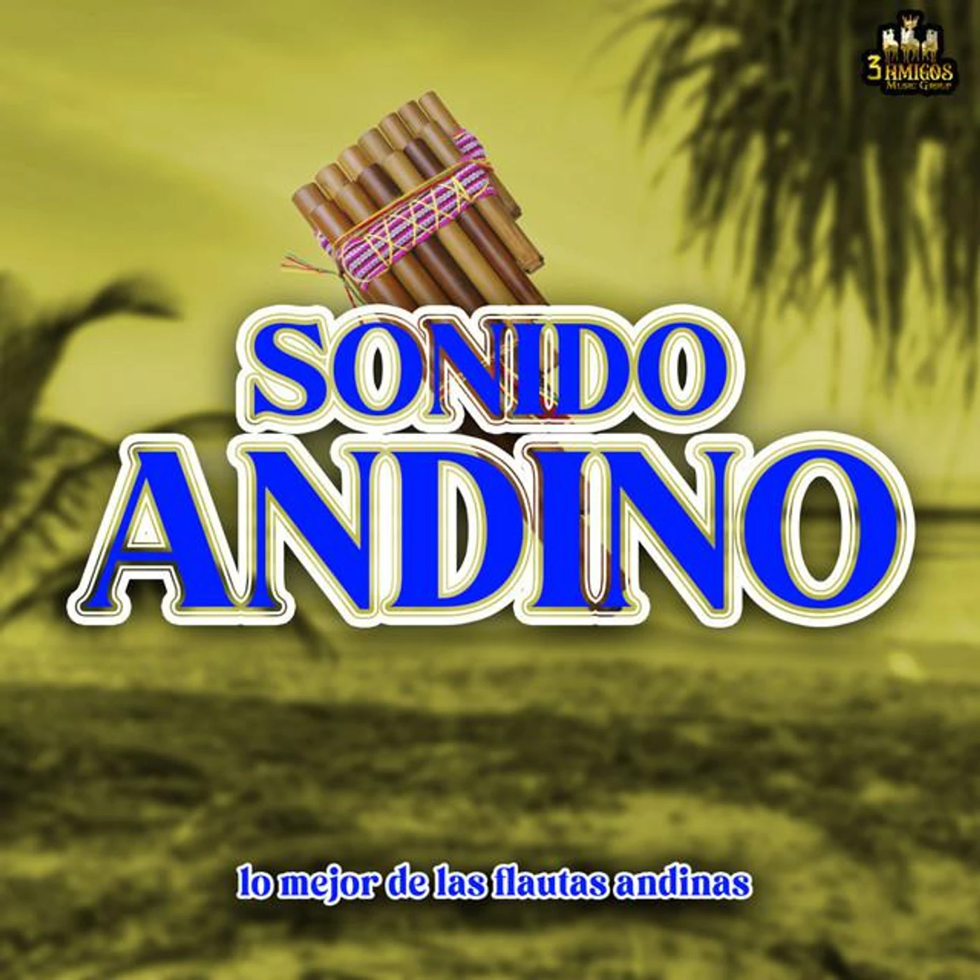 Sonido Andino