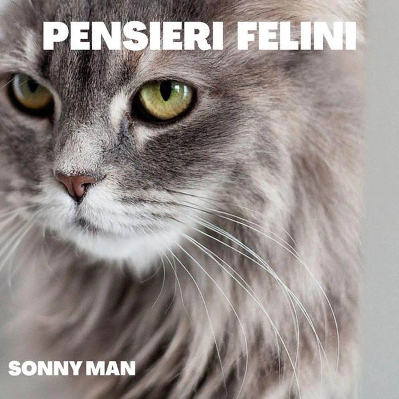 Sonny Man Brand Page