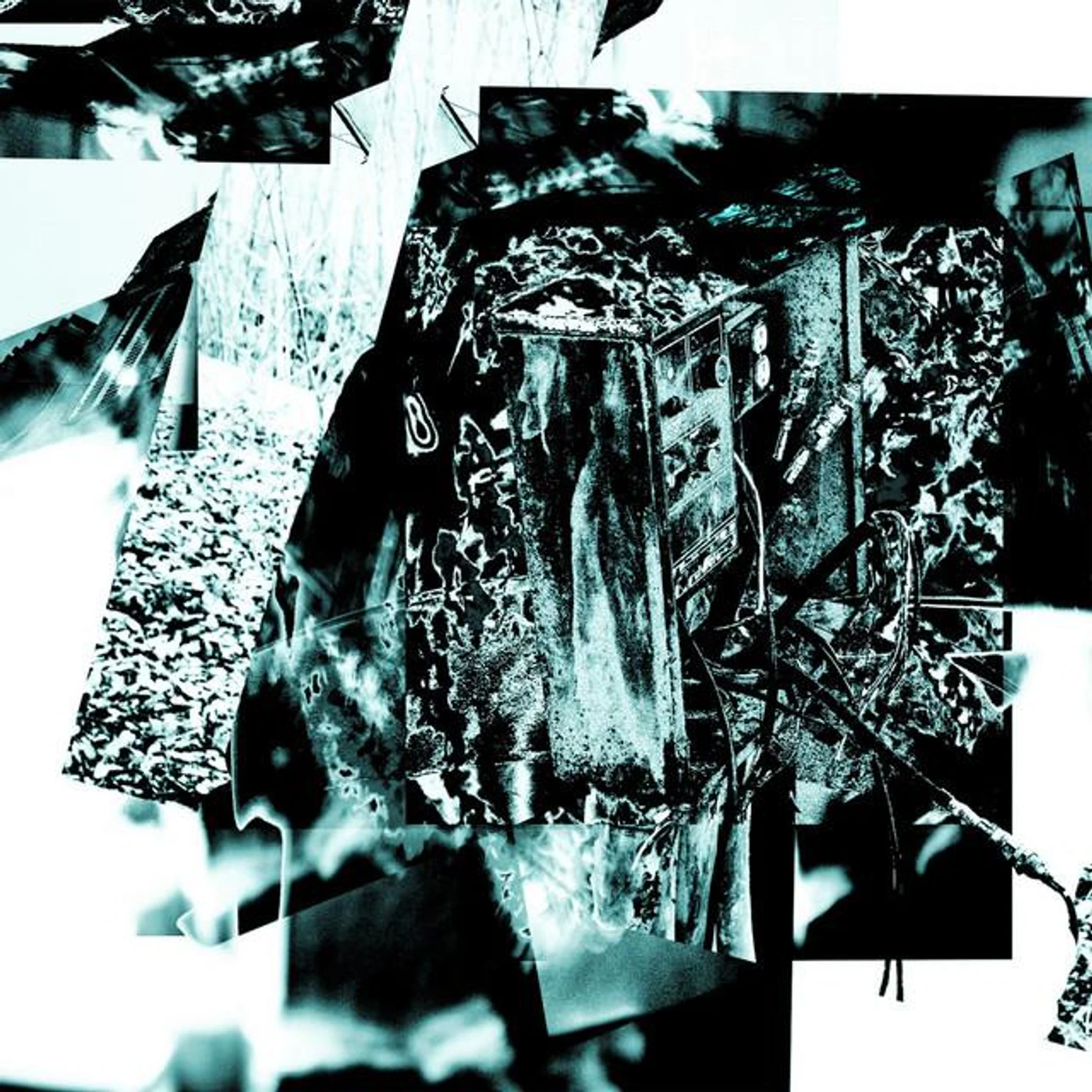 Soaked in Disillusion