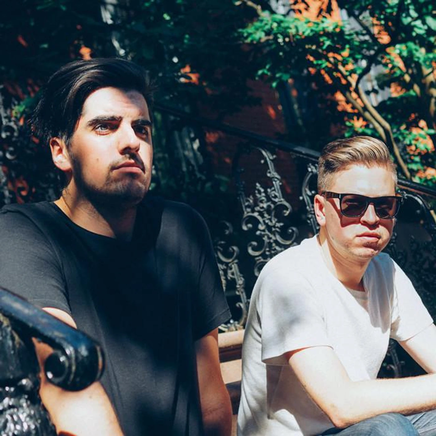 Solidisco Brand Page