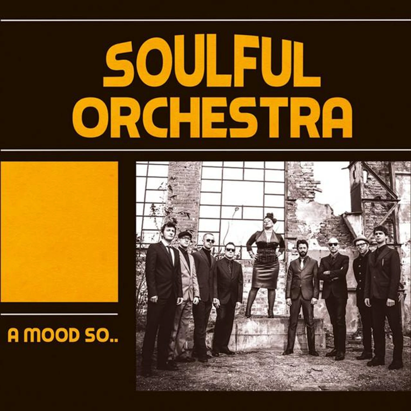 Soulful Orchestra Brand Page