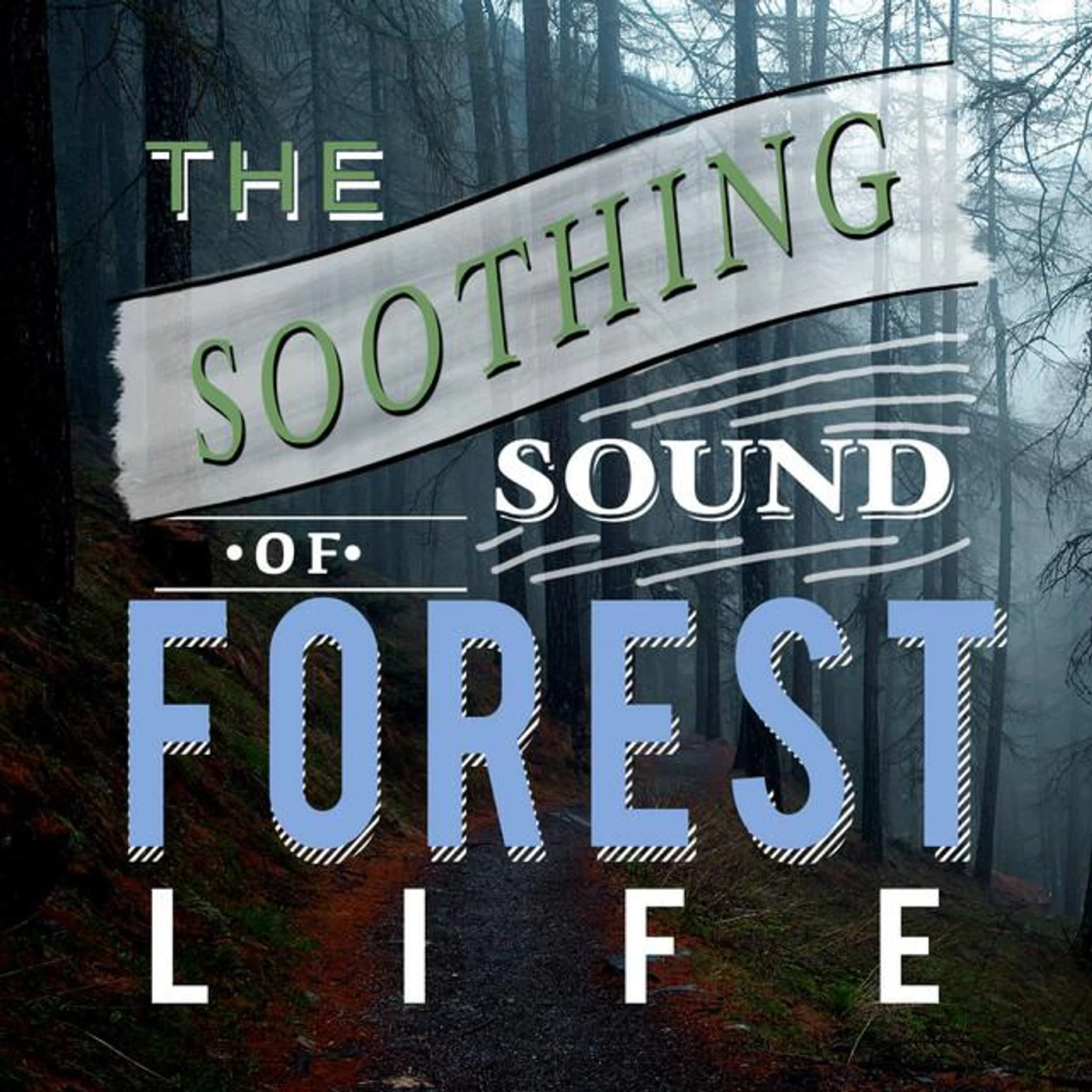 Sounds of Nature for Deep Sleep and Relaxation