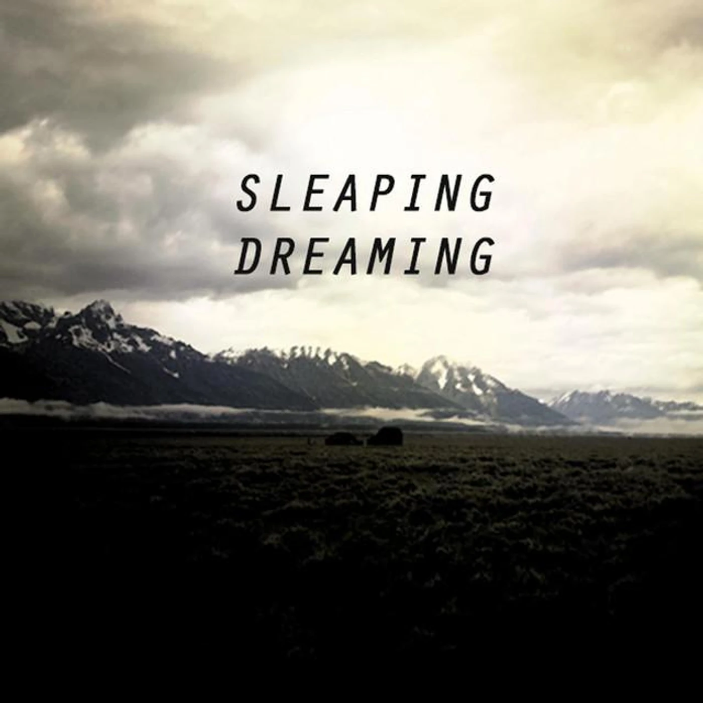 Sleapingdreaming