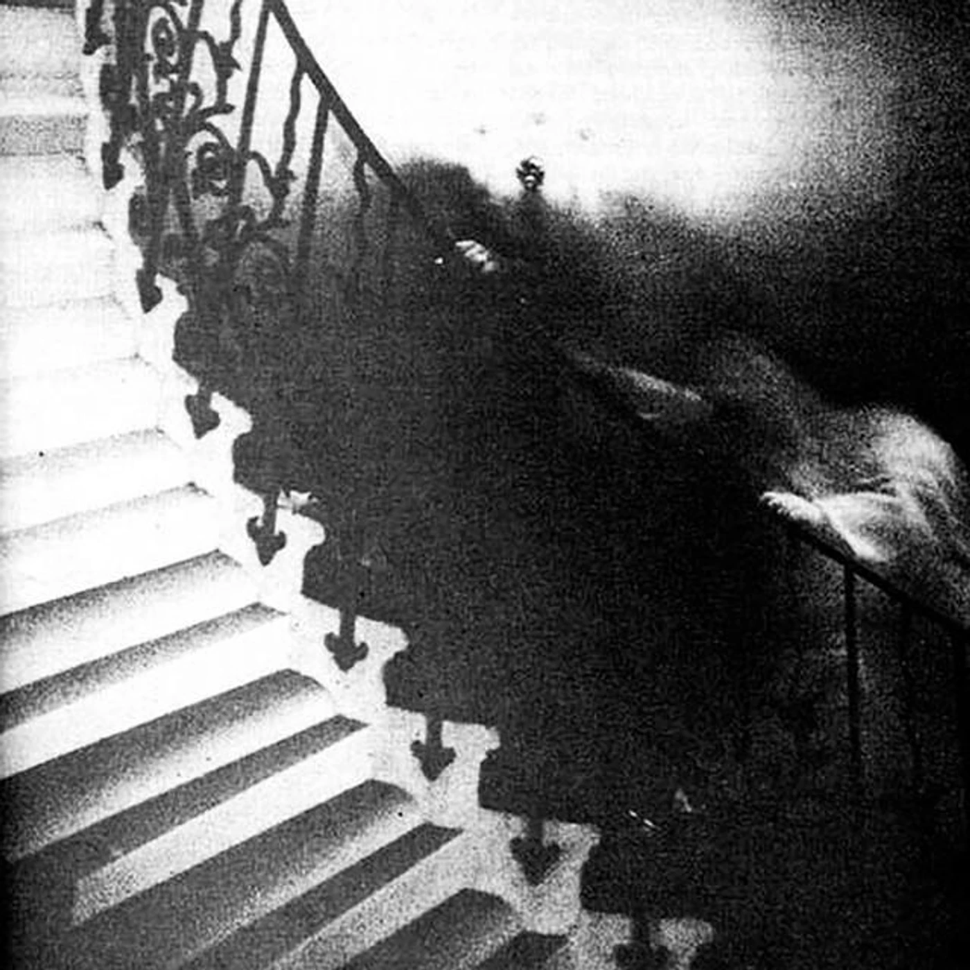 Sleep Museum Brand Page