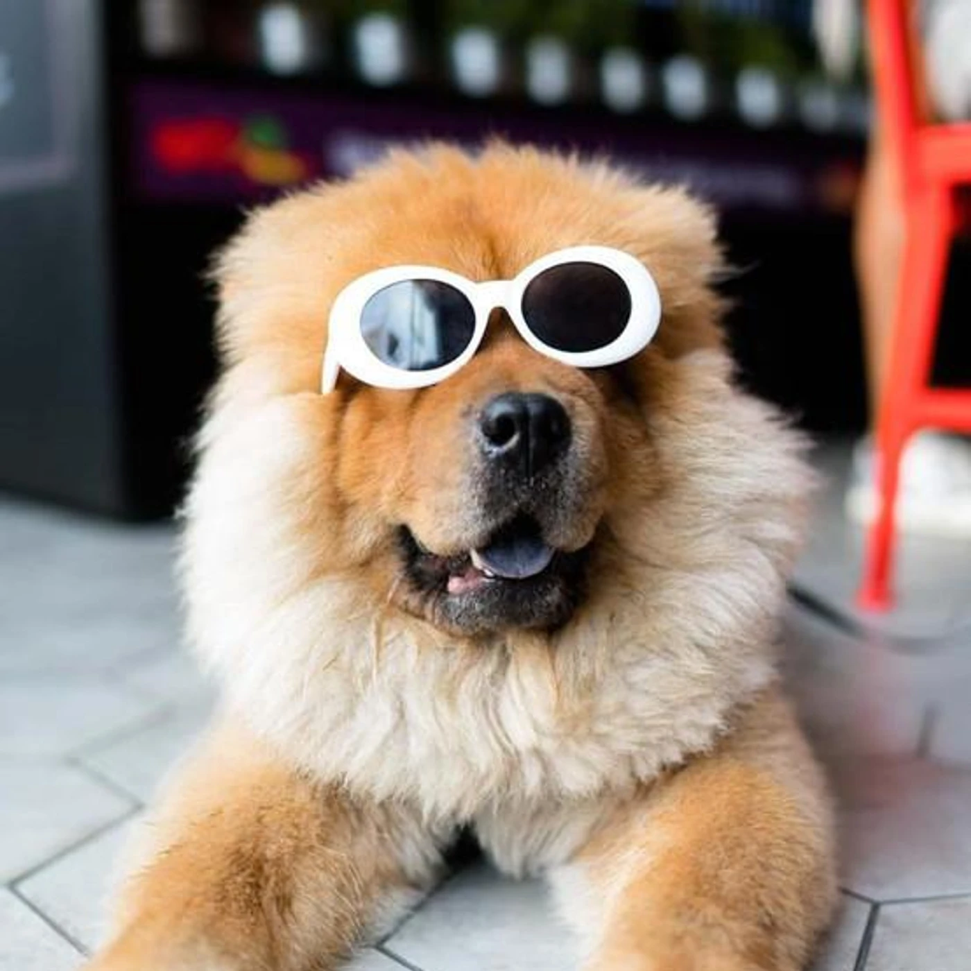 Sleepy Chows Brand Page