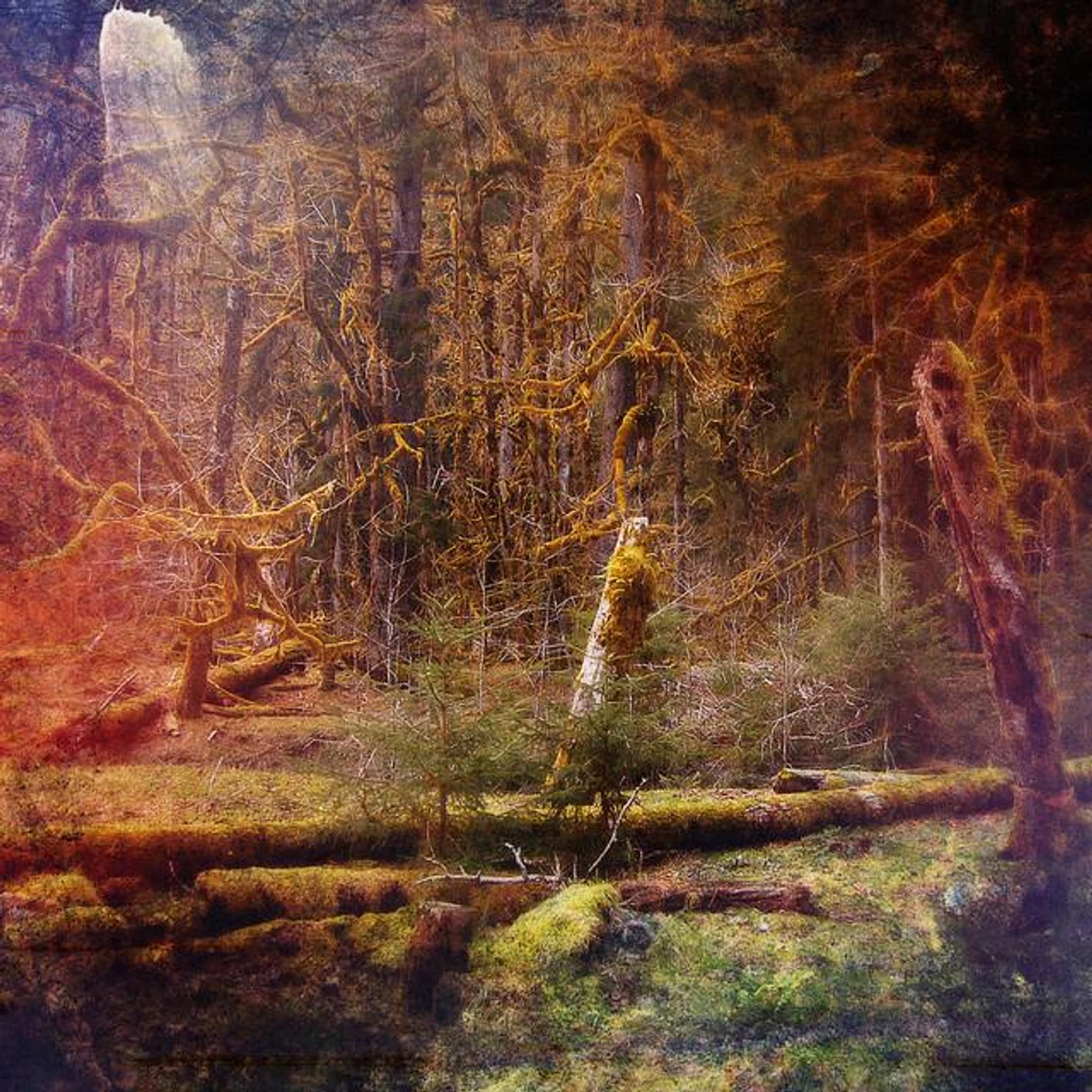 Slidecamp Brand Page