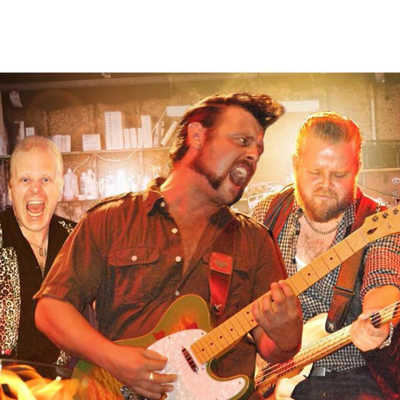 Snakebite Brand Page