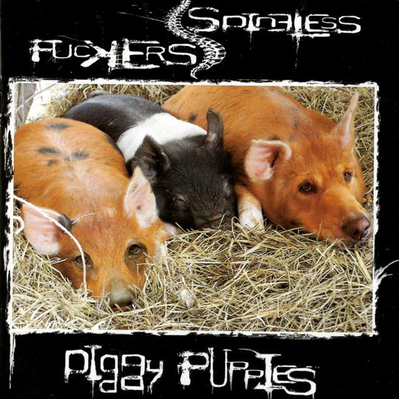 Spineless Fuckers Brand Page