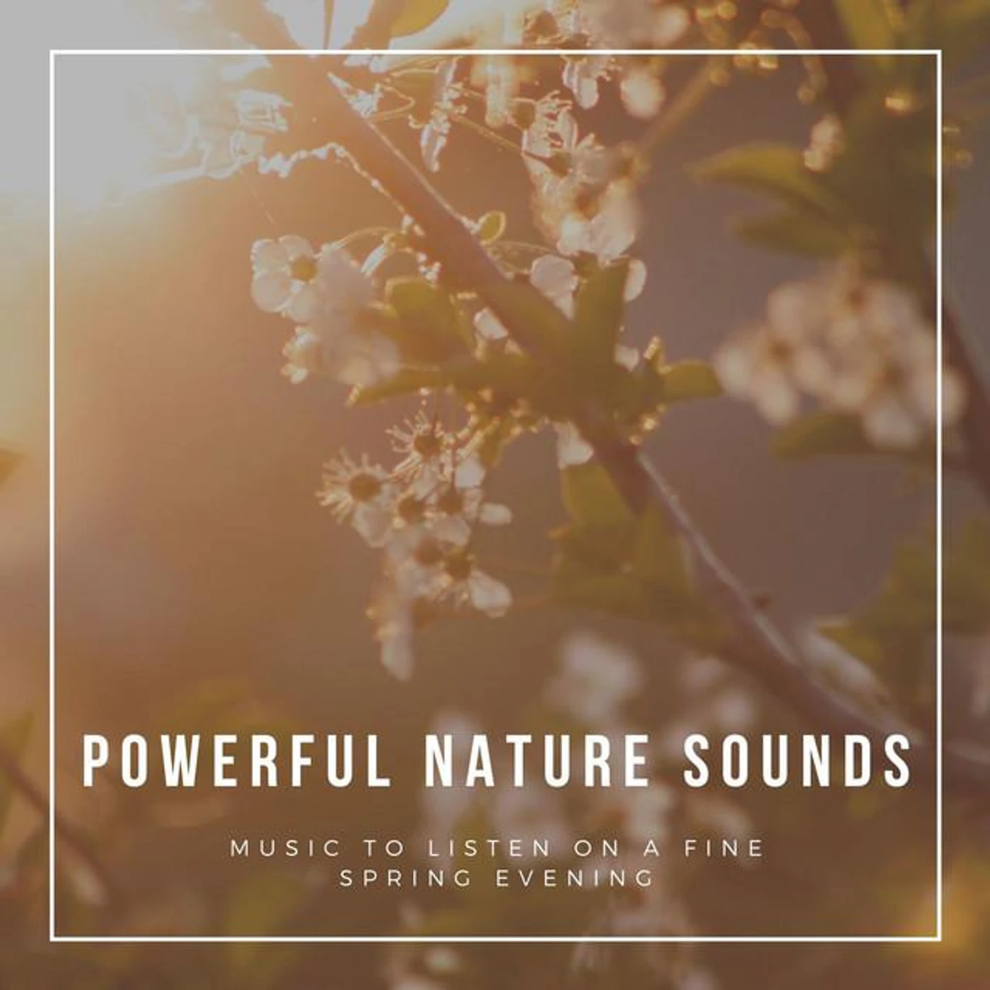 Spring Awakening Brand Page