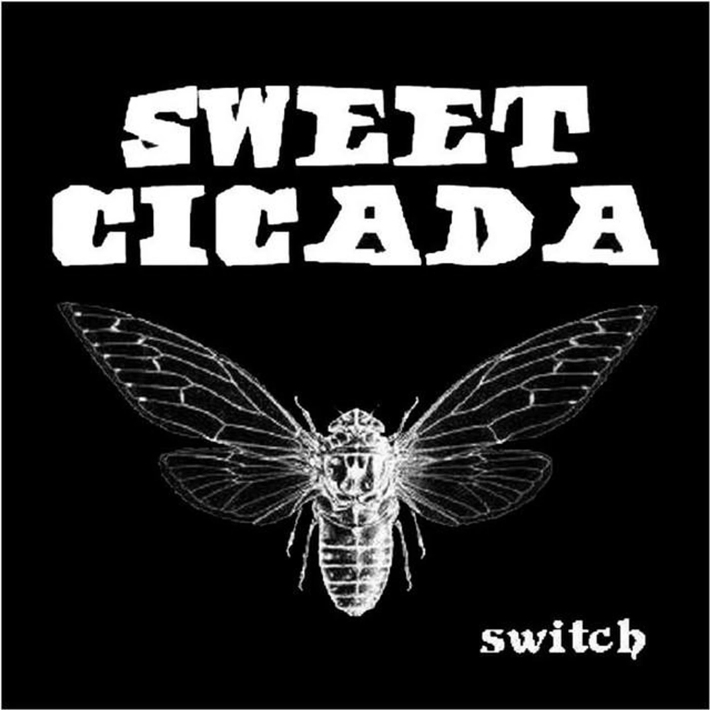 Sweet Cicada