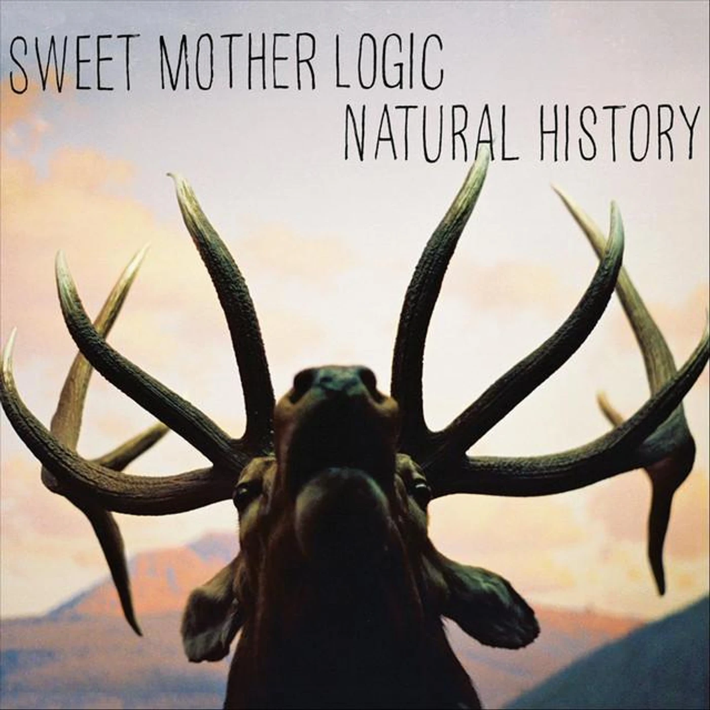 Sweet Mother Logic