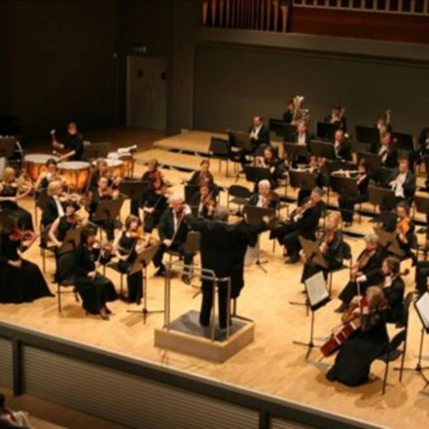 St. Petersburg State Symphony Orchestra Brand Page