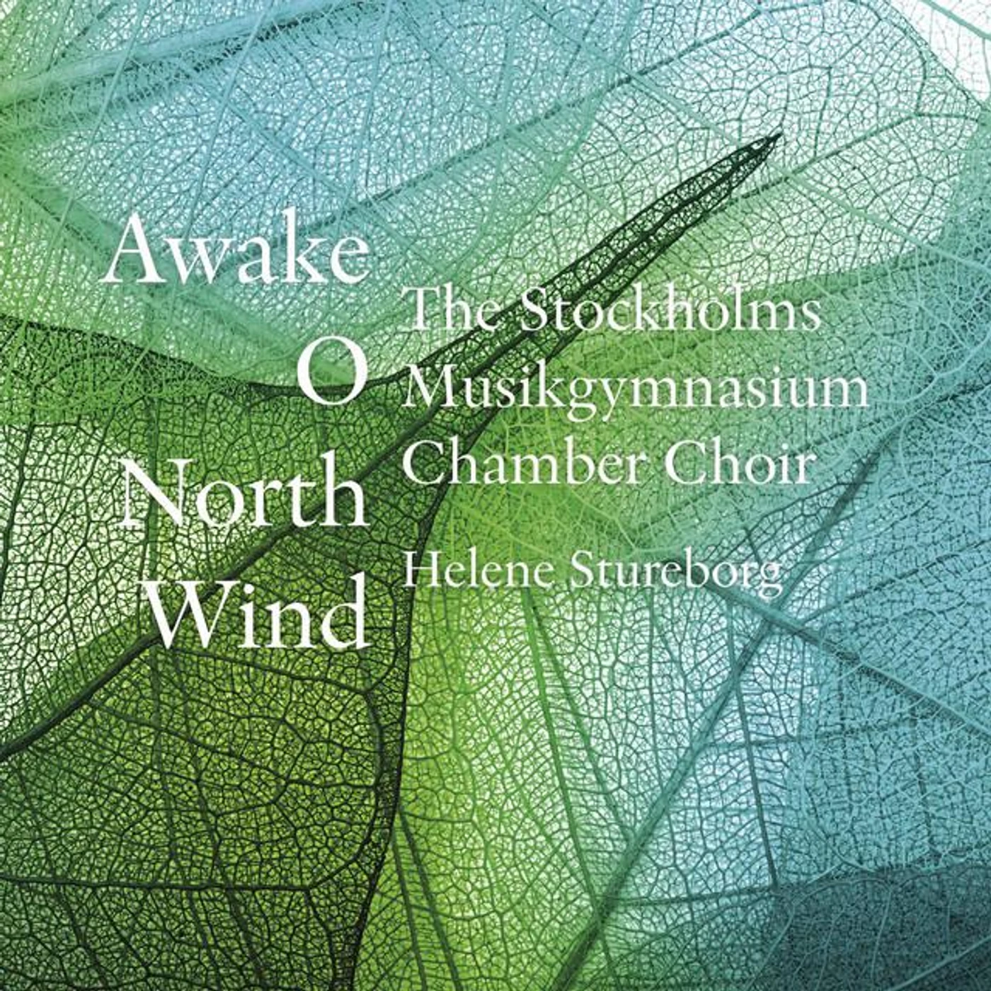 Stockholms Musikgymnasium Chamber Choir Brand Page