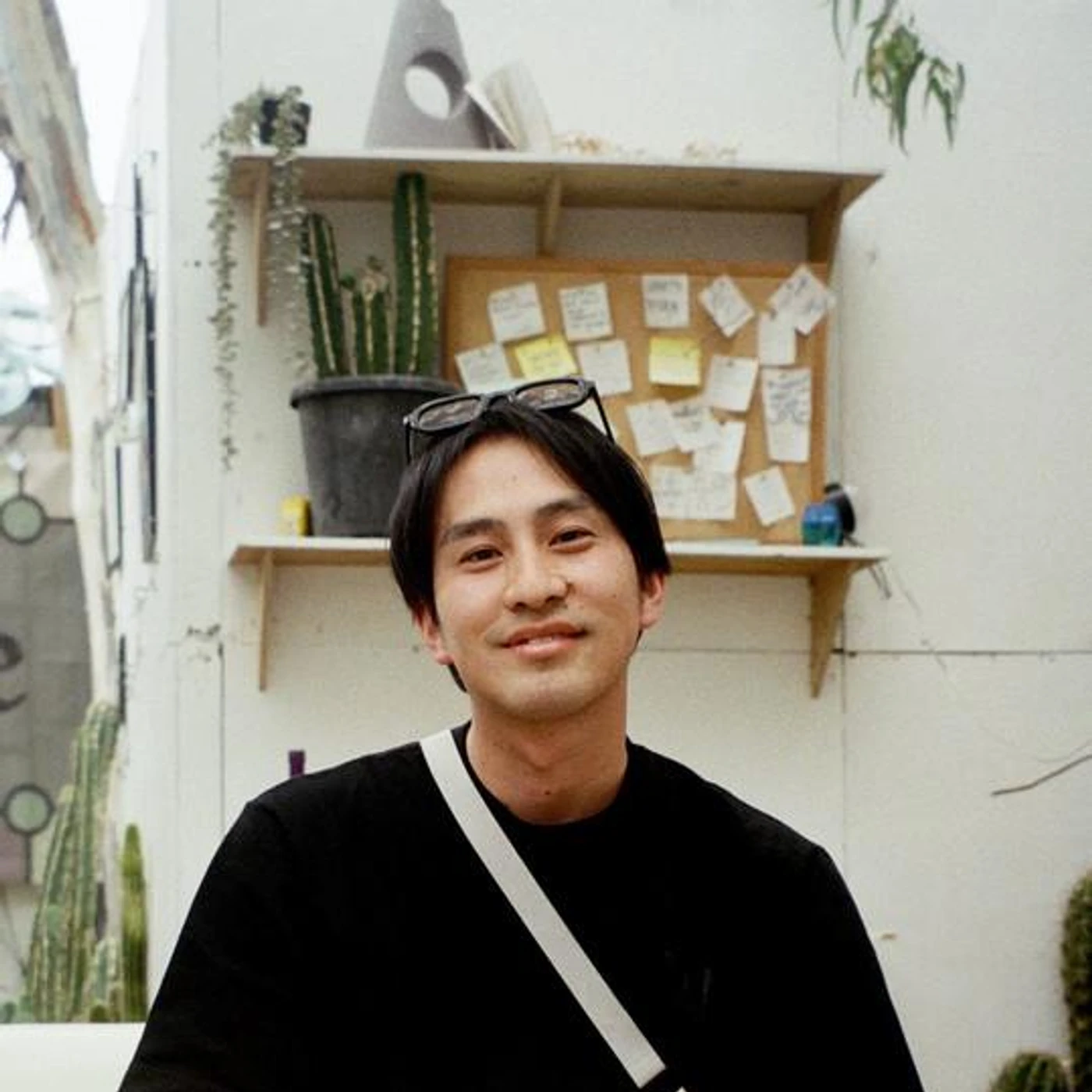 Stones Taro Brand Page