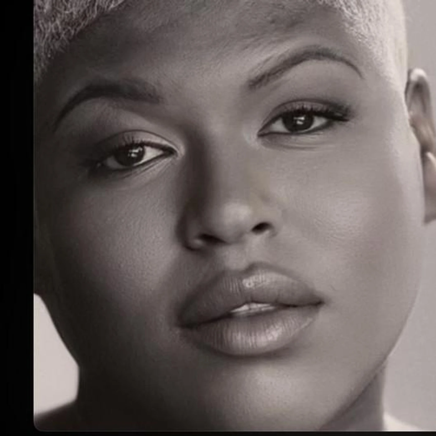 Stacy Barthe Brand Page