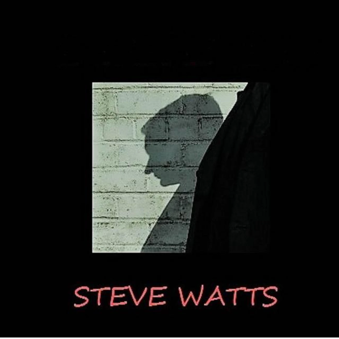 Steve Watts Brand Page