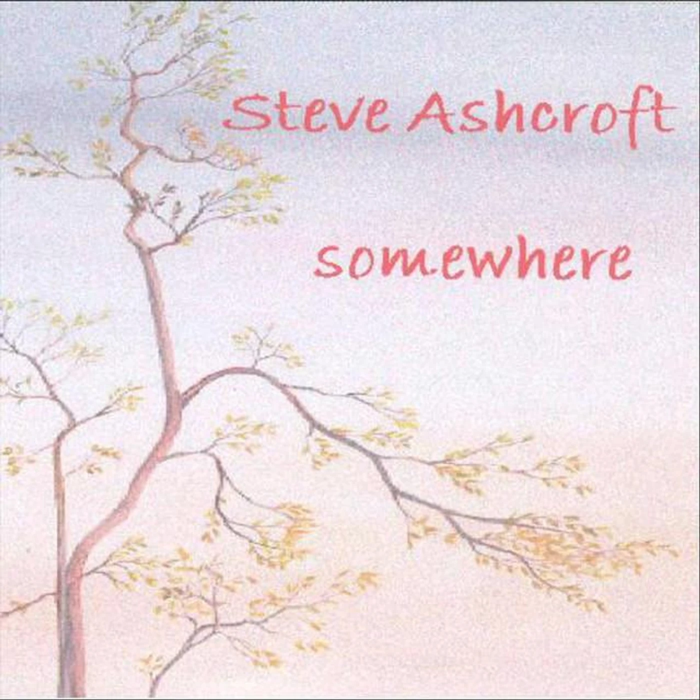 Steve Ashcroft Brand Page