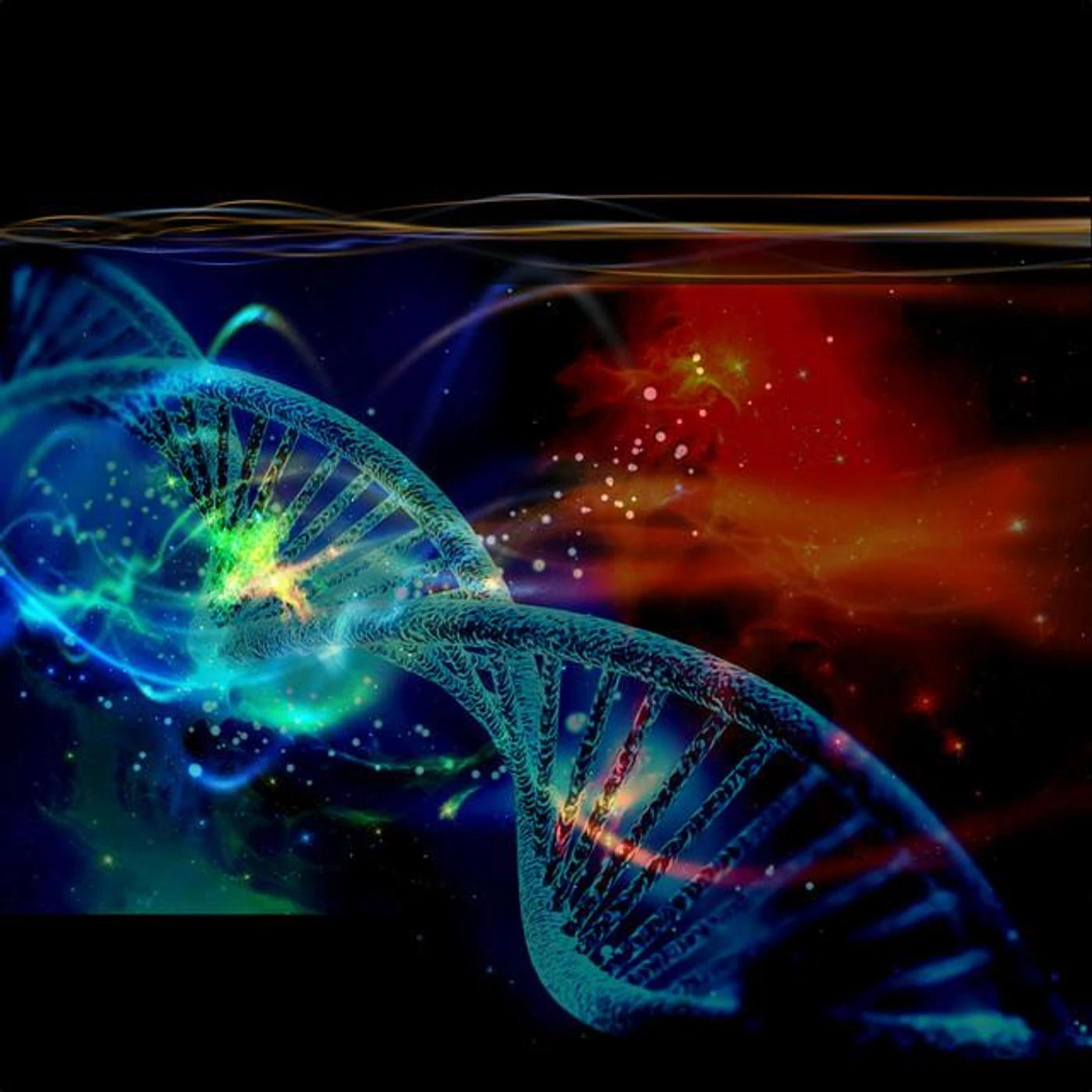 Steve Bender Brand Page