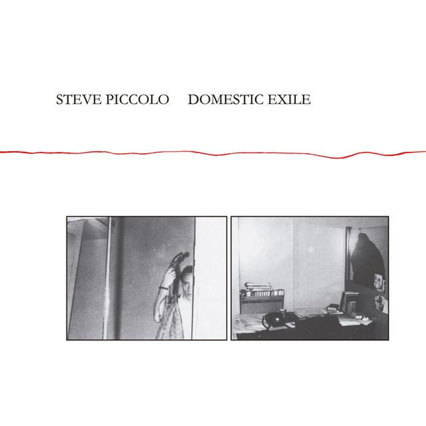 Steve Piccolo Brand Page