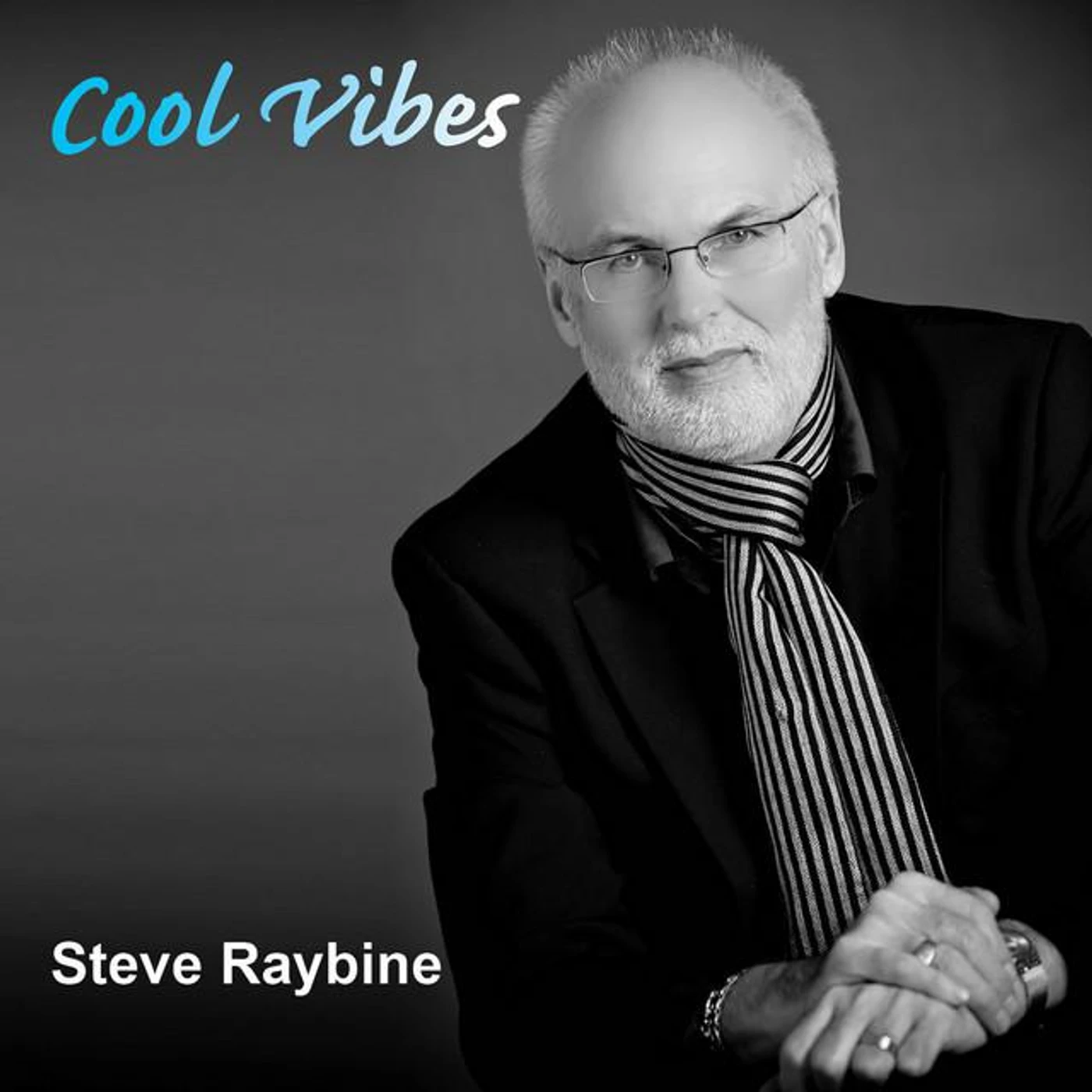 Steve Raybine Brand Page