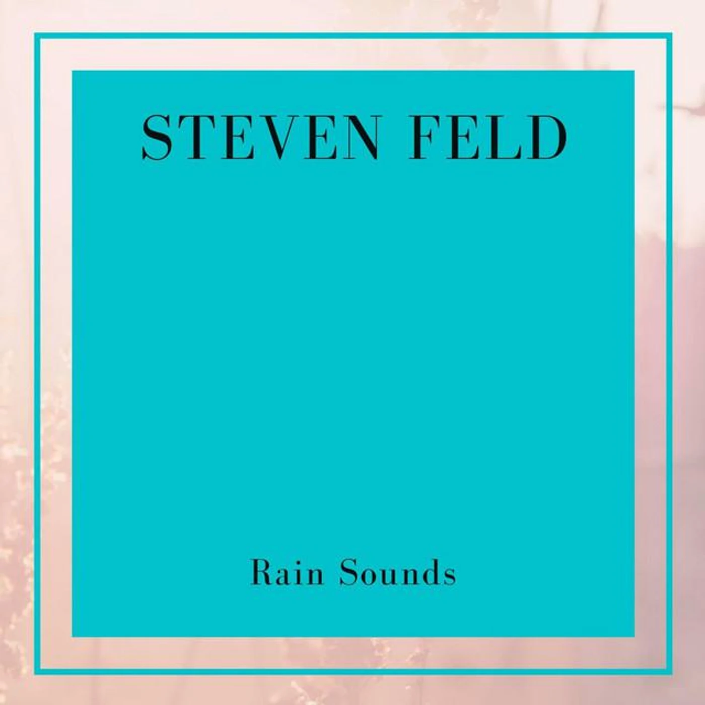 Steven Feld Brand Page