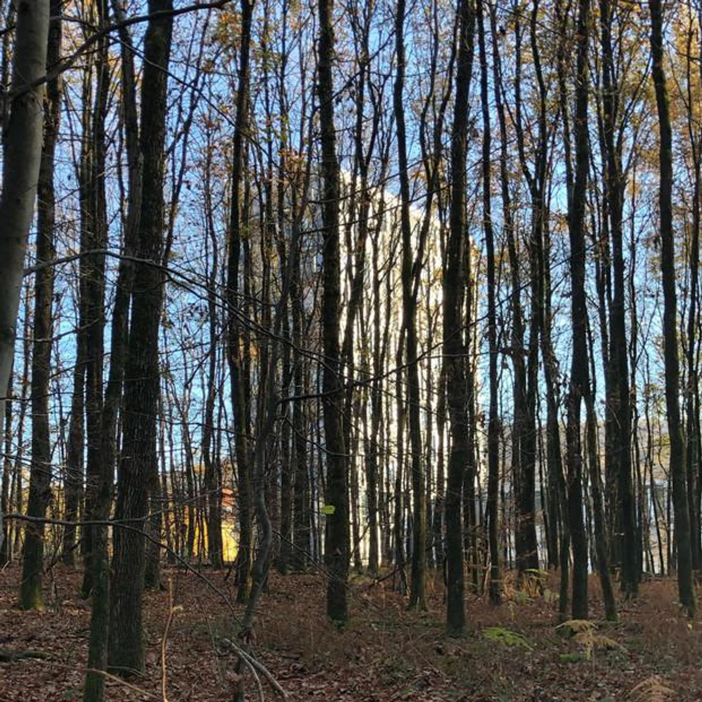 Stefan Kranz Brand Page