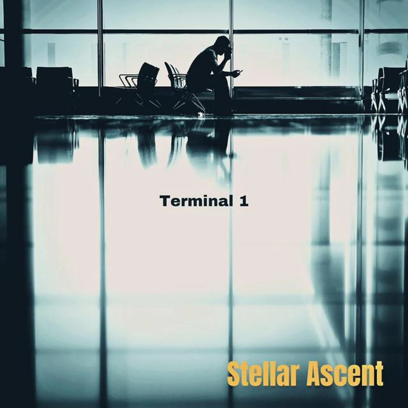Stellar Ascent Brand Page