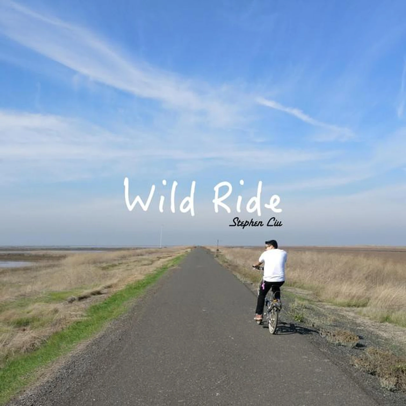 Stephen Liu Brand Page