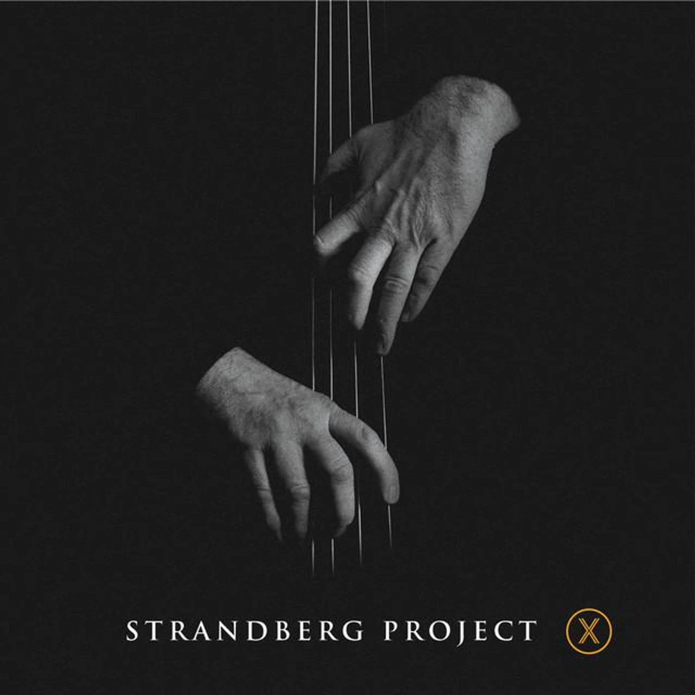Strandberg Project Brand Page