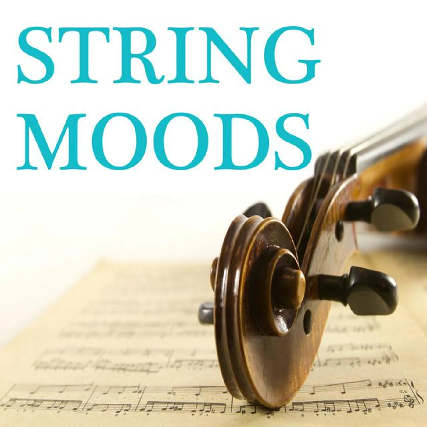 String Orchestra Brand Page