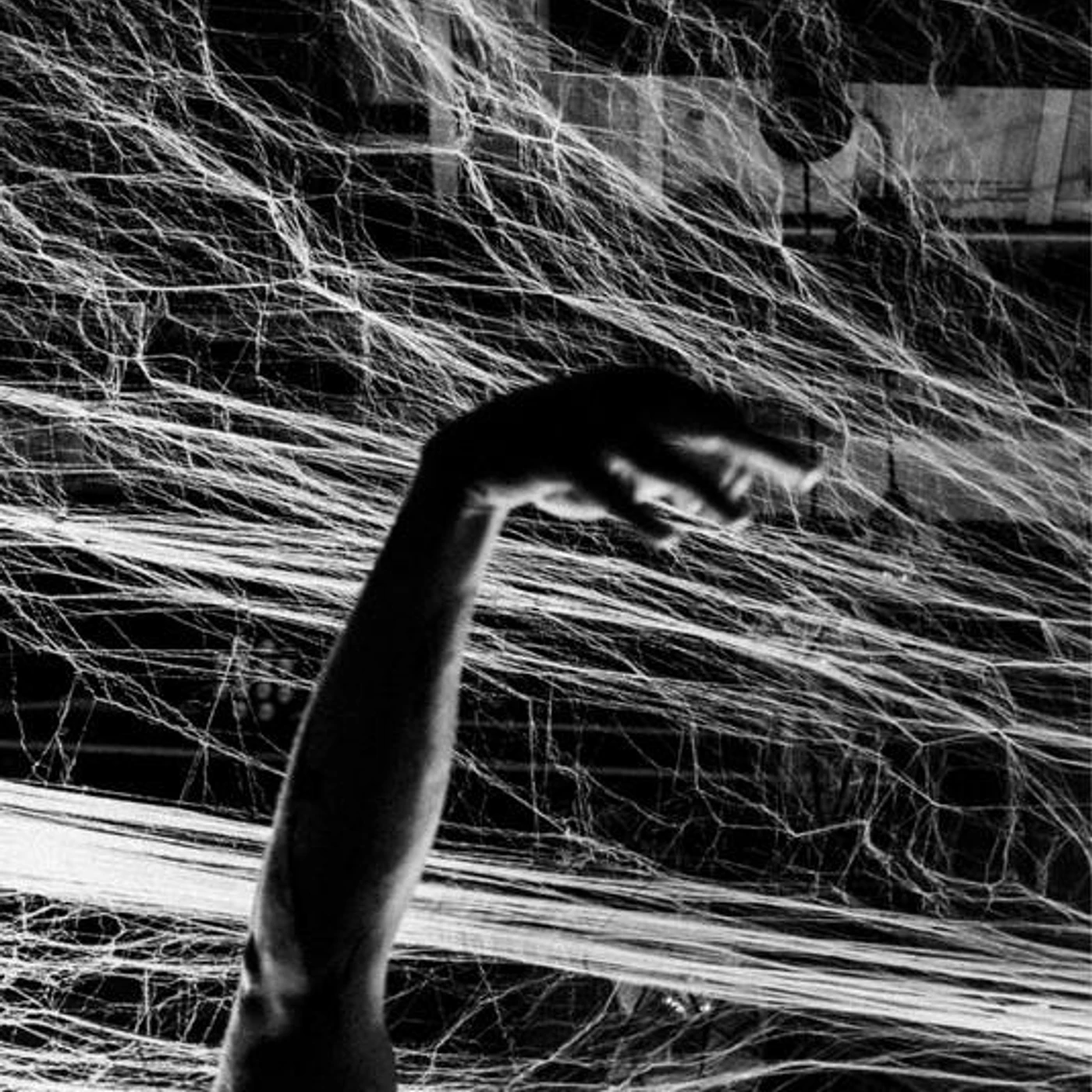 Stuyedeyed Brand Page