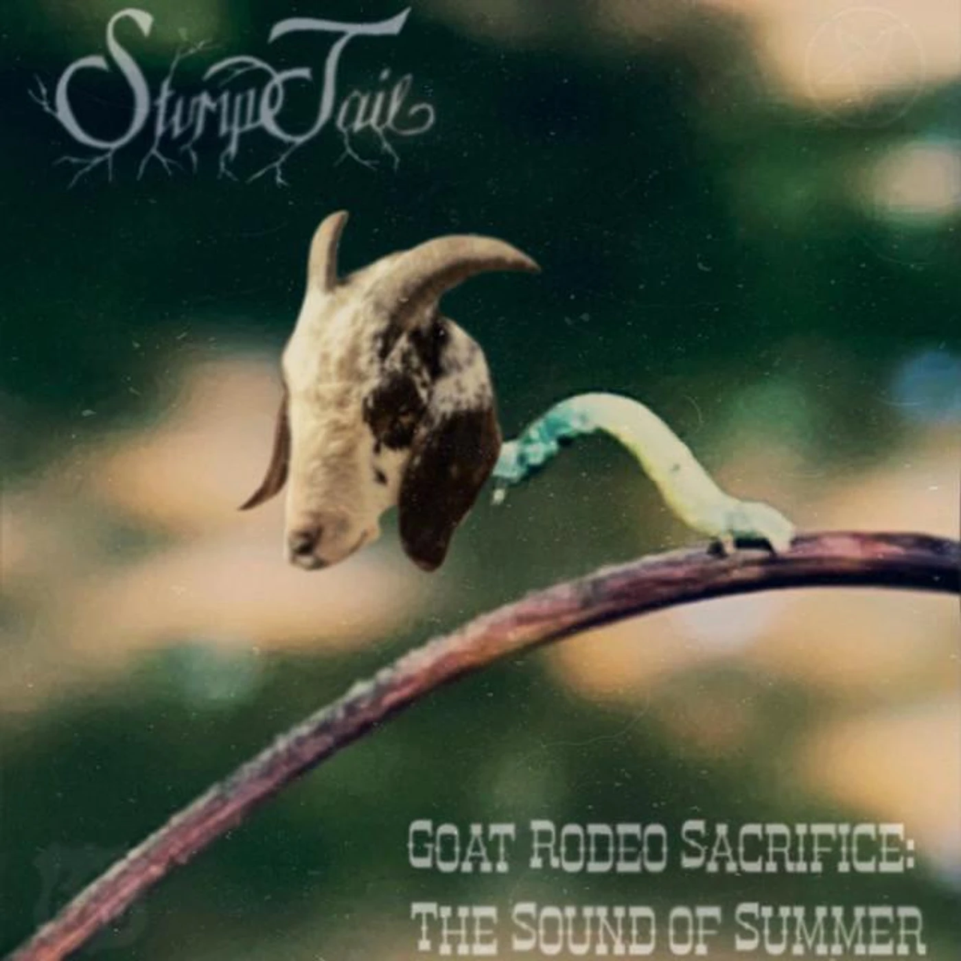 Stump Tail Brand Page