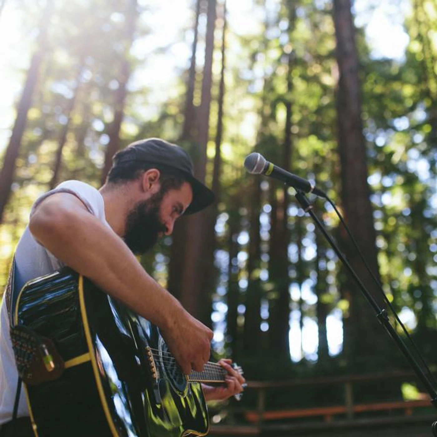 Summer Homes Brand Page