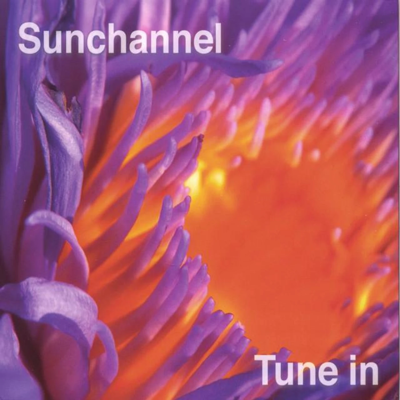 Sunchannel Brand Page