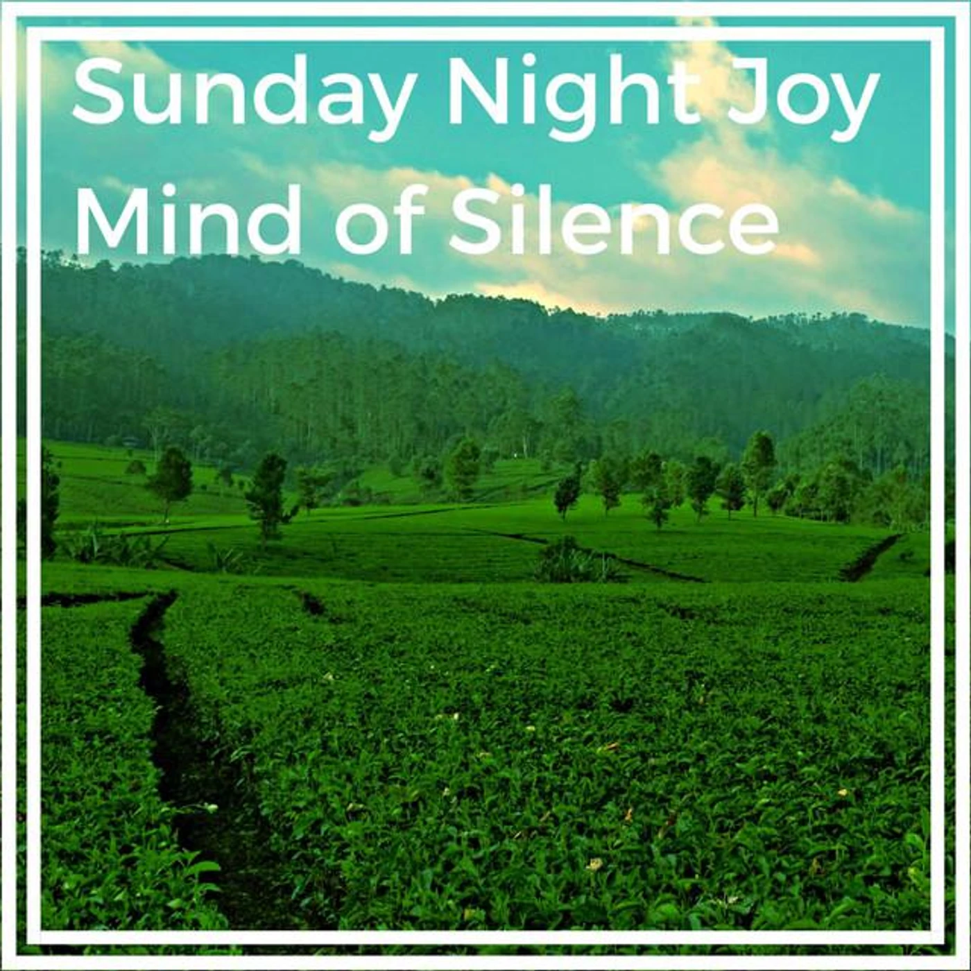 Sunday Night Joy