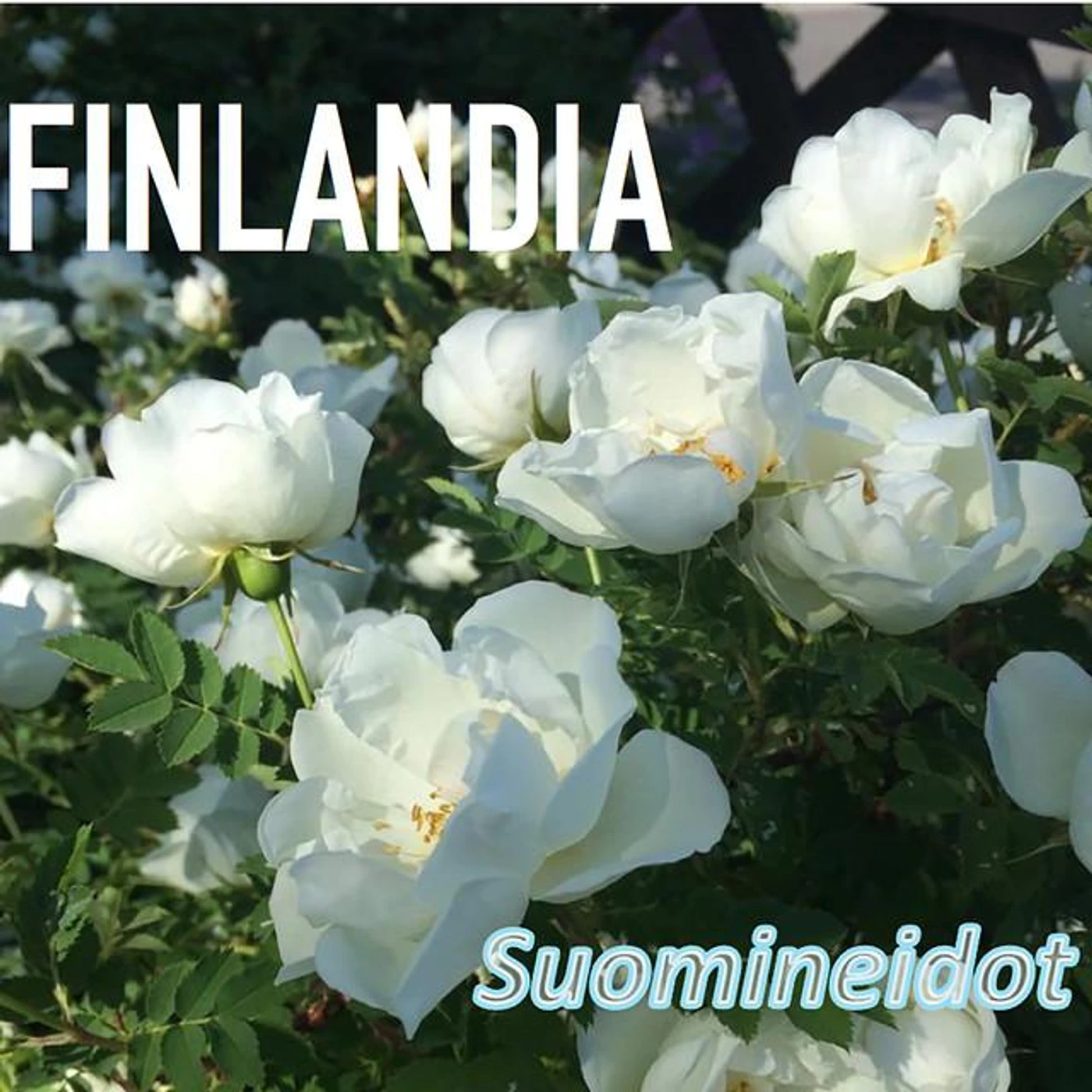Suomineidot Brand Page