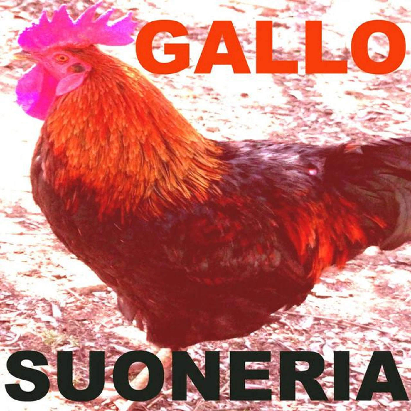 Suonerie per cellulari Brand Page