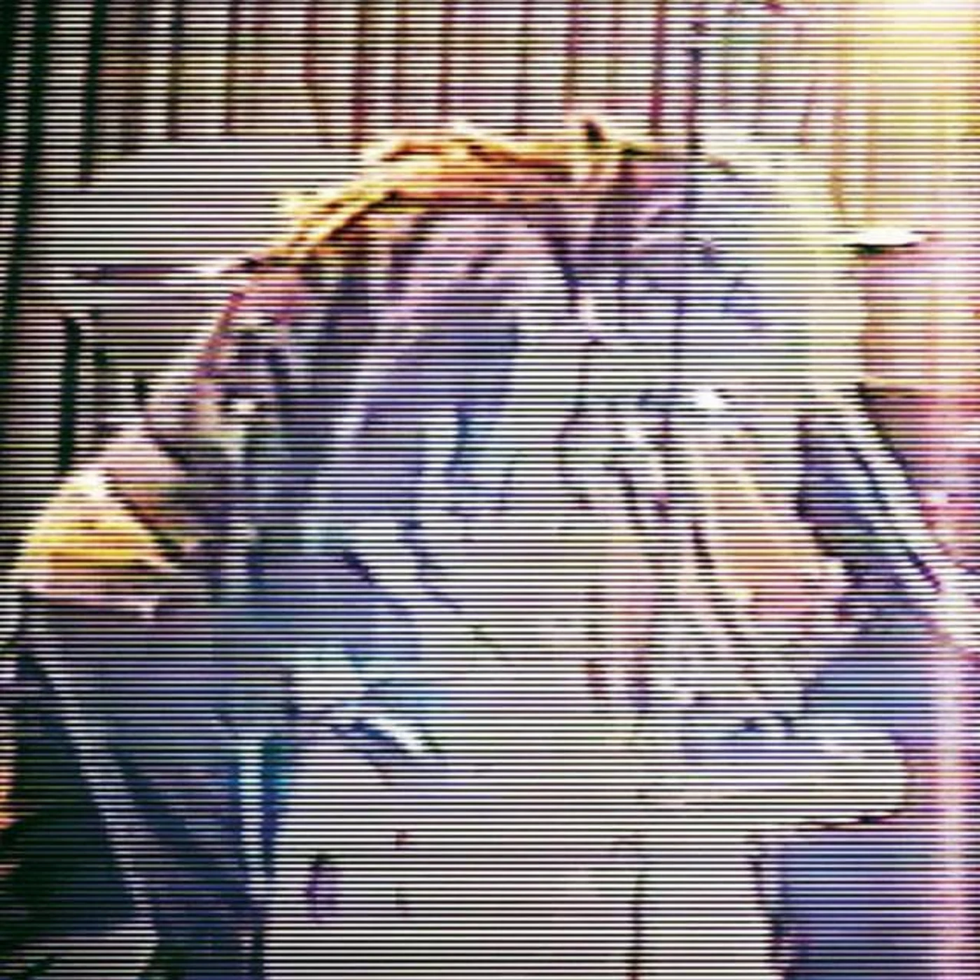 Super Static Fever Brand Page