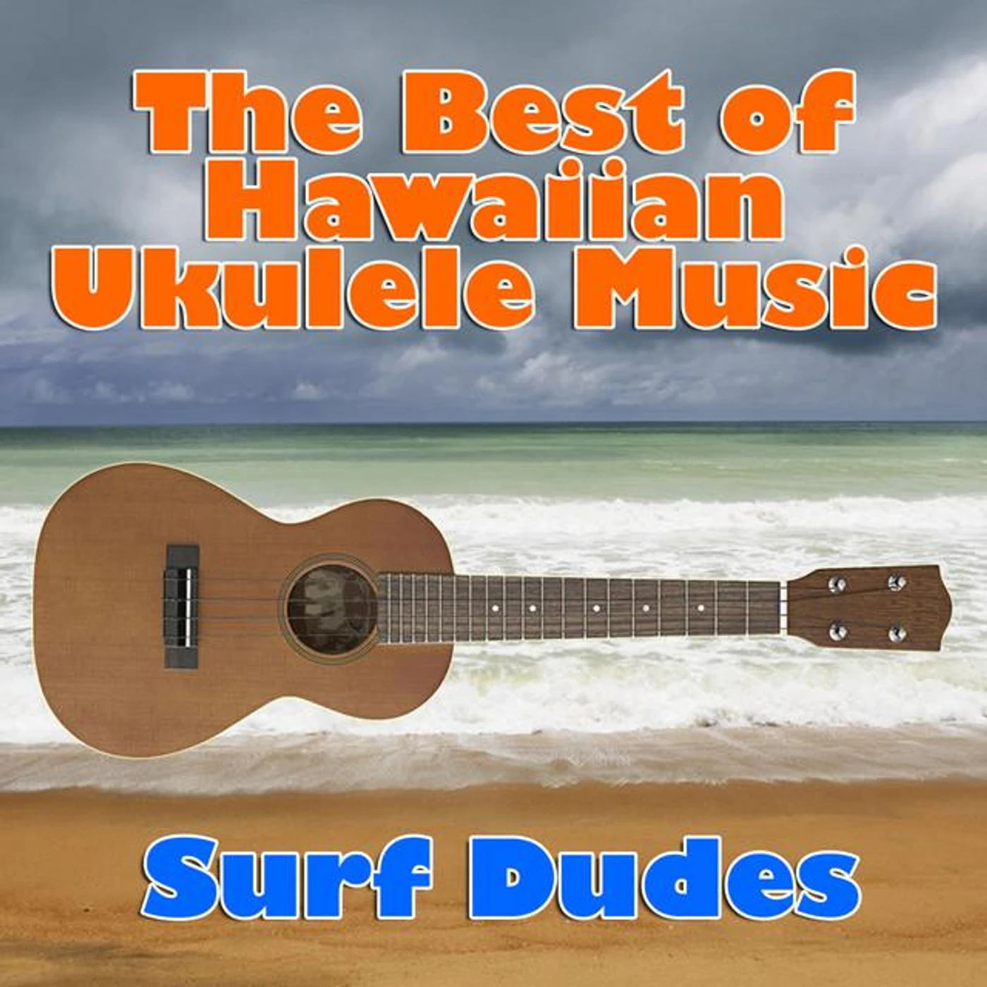 Surf Dudes Brand Page