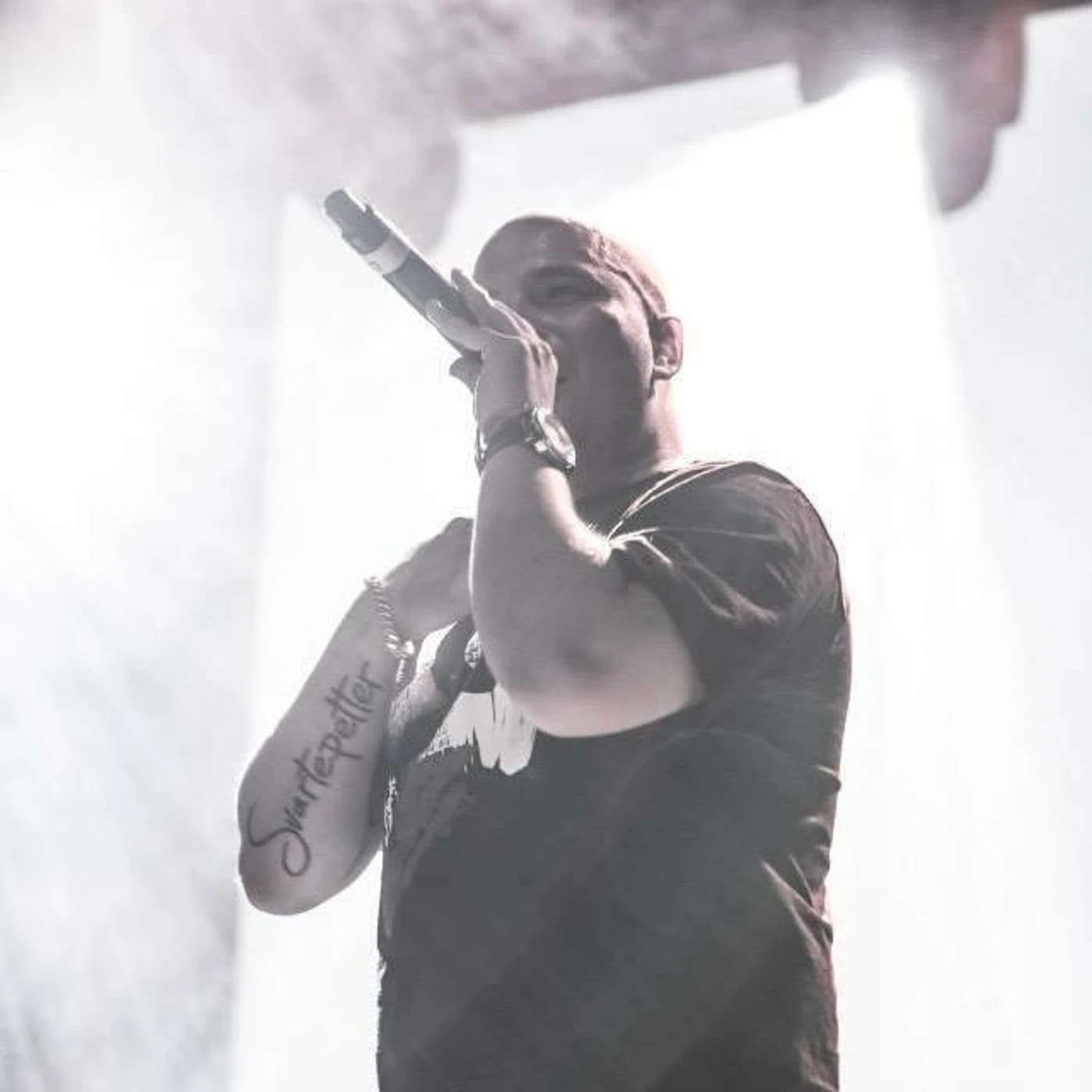 Svartepetter Brand Page