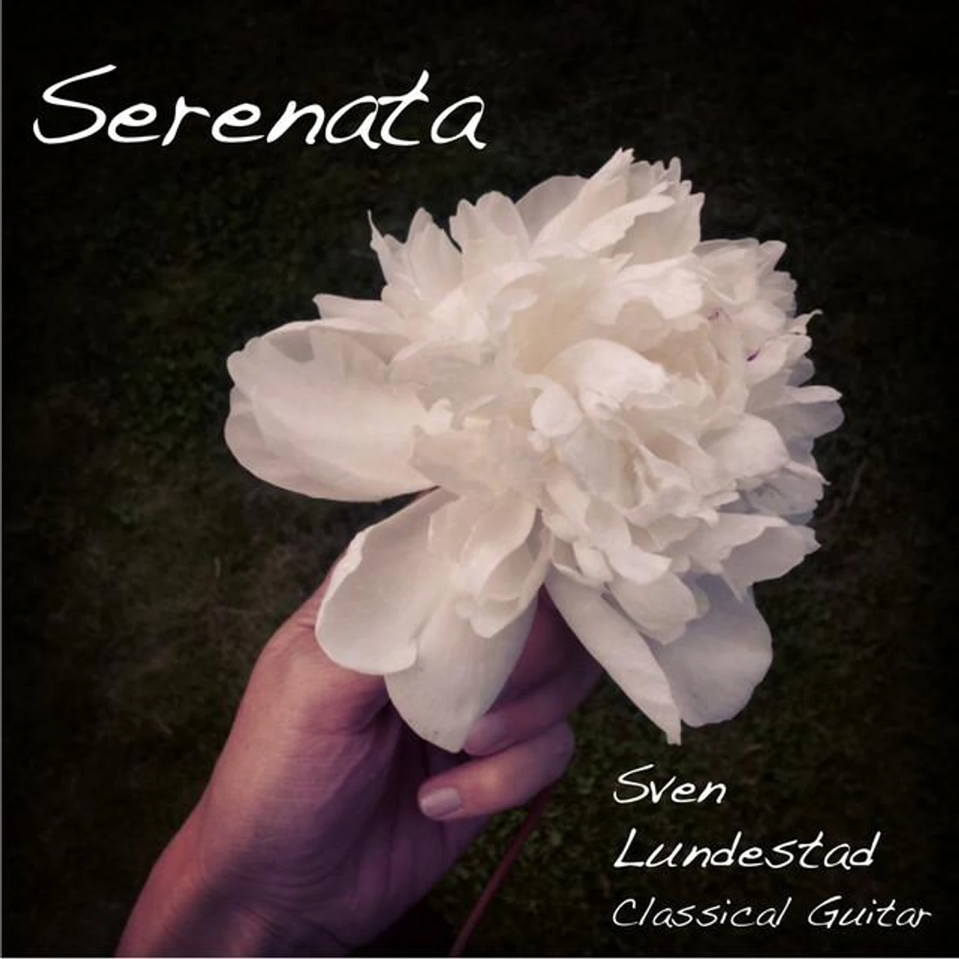 Sven Lundestad Brand Page